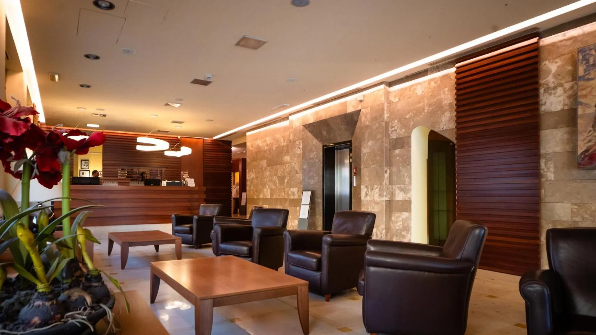 Hotel Airone Grosseto